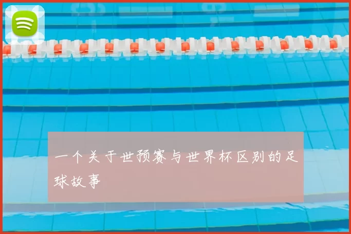 一个关于世预赛与世界杯区别的足球故事
