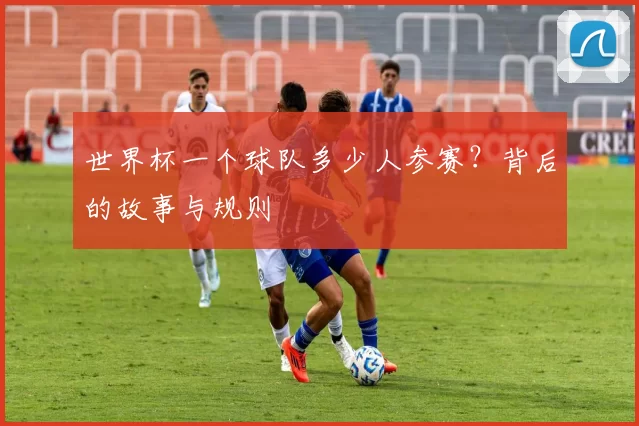 世界杯一个球队多少人参赛？背后的故事与规则