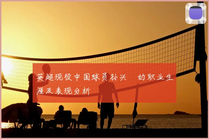 英超现役中国球员孙兴慜的职业生涯及表现分析