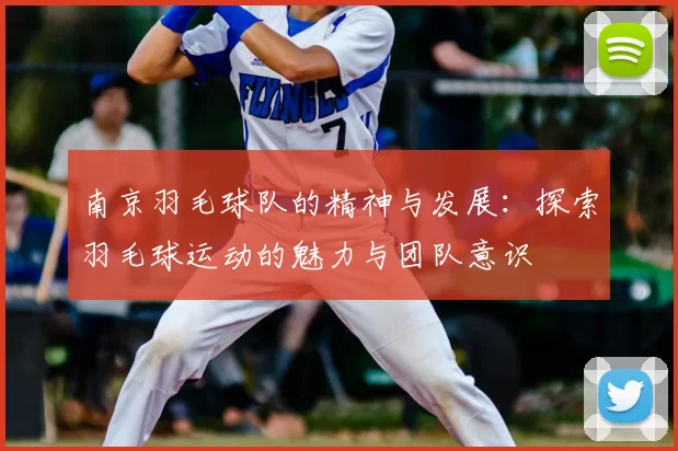 南京羽毛球队的精神与发展：探索羽毛球运动的魅力与团队意识