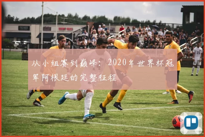 从小组赛到巅峰:2020年世界杯冠军阿根廷的完整征程