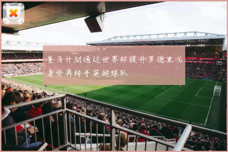 皇马计划通过世界杯提升罗德里戈身价再转手英超球队