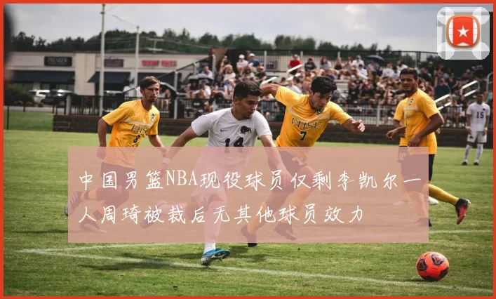 中国男篮NBA现役球员仅剩李凯尔一人周琦被裁后无其他球员效力
