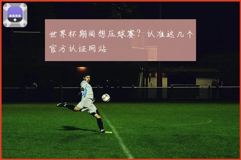 世界杯期间想压球赛?认准这几个官方认证网站
