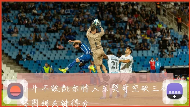 小牛不敌凯尔特人东契奇空砍三双塔图姆关键得分