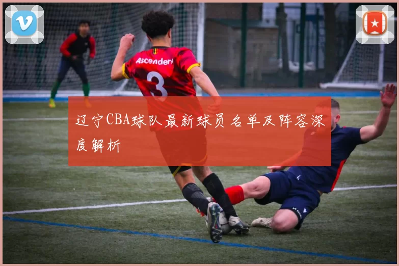 辽宁CBA球队最新球员名单及阵容深度解析