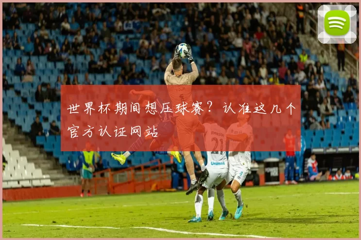 世界杯期间想压球赛？认准这几个官方认证网站