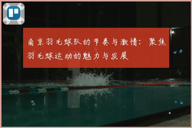 南京羽毛球队的节奏与激情:聚焦羽毛球运动的魅力与发展