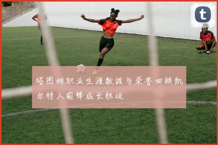 塔图姆职业生涯数据与荣誉回顾凯尔特人前锋成长轨迹