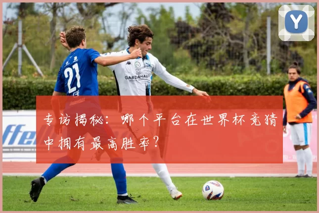 专访揭秘:哪个平台在世界杯竞猜中拥有最高胜率?