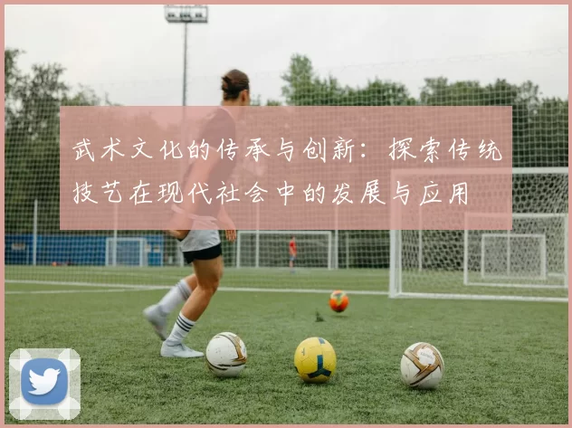 武术文化的传承与创新：探索传统技艺在现代社会中的发展与应用